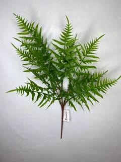 SAMAMBAIA 60CM DCX7054