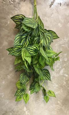 HASTE ARTIFICIAL PEPEROMIA 61CM ED508182