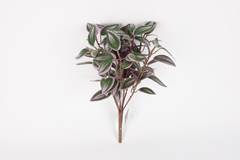 HASTE LAMBARI ARTIFICIAL 30CM ROXA ED508242