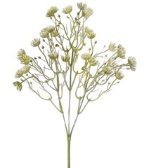 HASTE MINI QUEEN ANN ARTIFIC X3 CREME