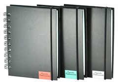 AGENDA PERMANENTE 320PAG 15X21CM BASIC