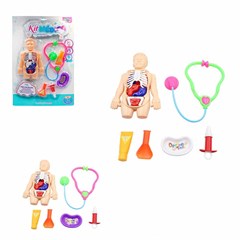 KIT MEDICO CORPO HUMANO SORTIDO 13PCS