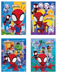 CADERNO BROCHURAO CD 80FLS SPIDEY