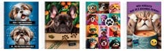 CADERNO 15 MATERIAS CD 240FLS PET