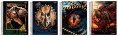 CADERNO 15 MATERIAS CD 240FLS STONE