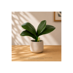 FOLHA ORQUIDEA X4 20CM
