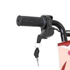 TRICICLO DRIFT PINK 36V 250W