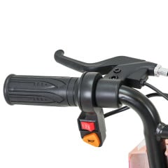TRICICLO DRIFT PINK 36V 250W